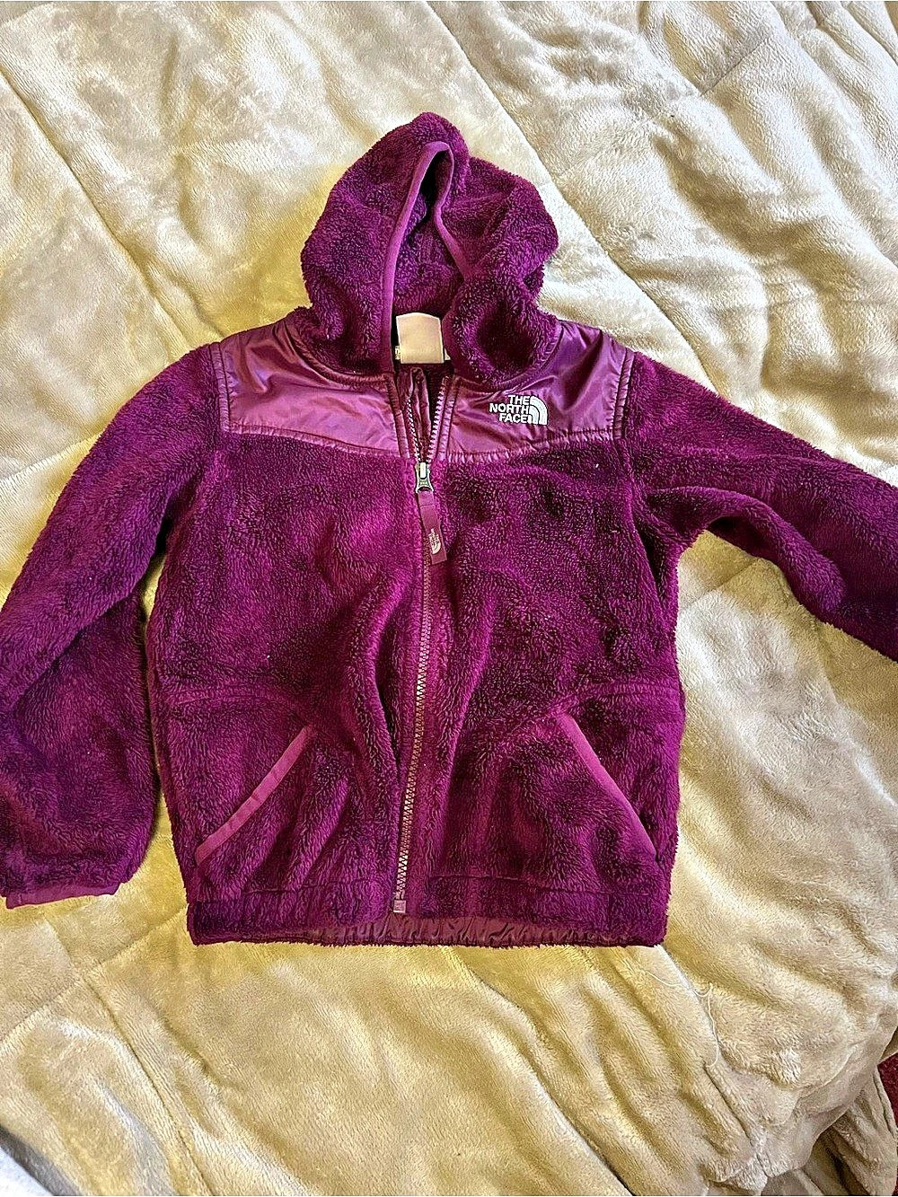 The North Face Purple Hooded Fleece Jacket